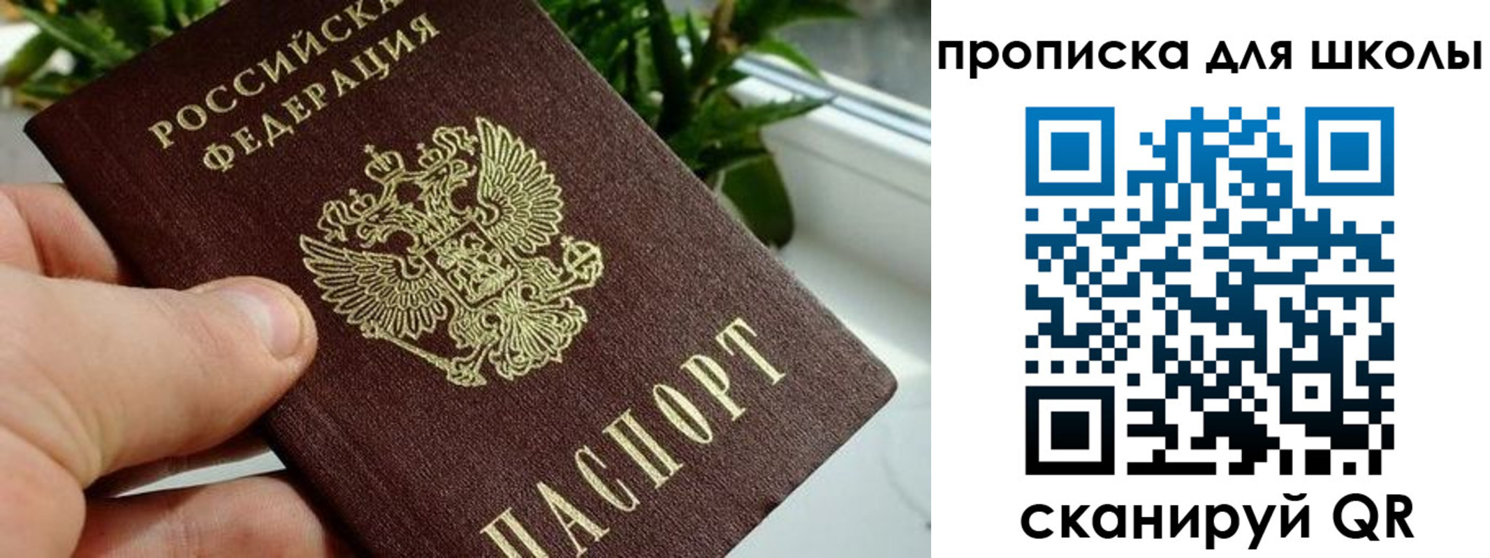 регистрация для дет. сада в Мончегорске